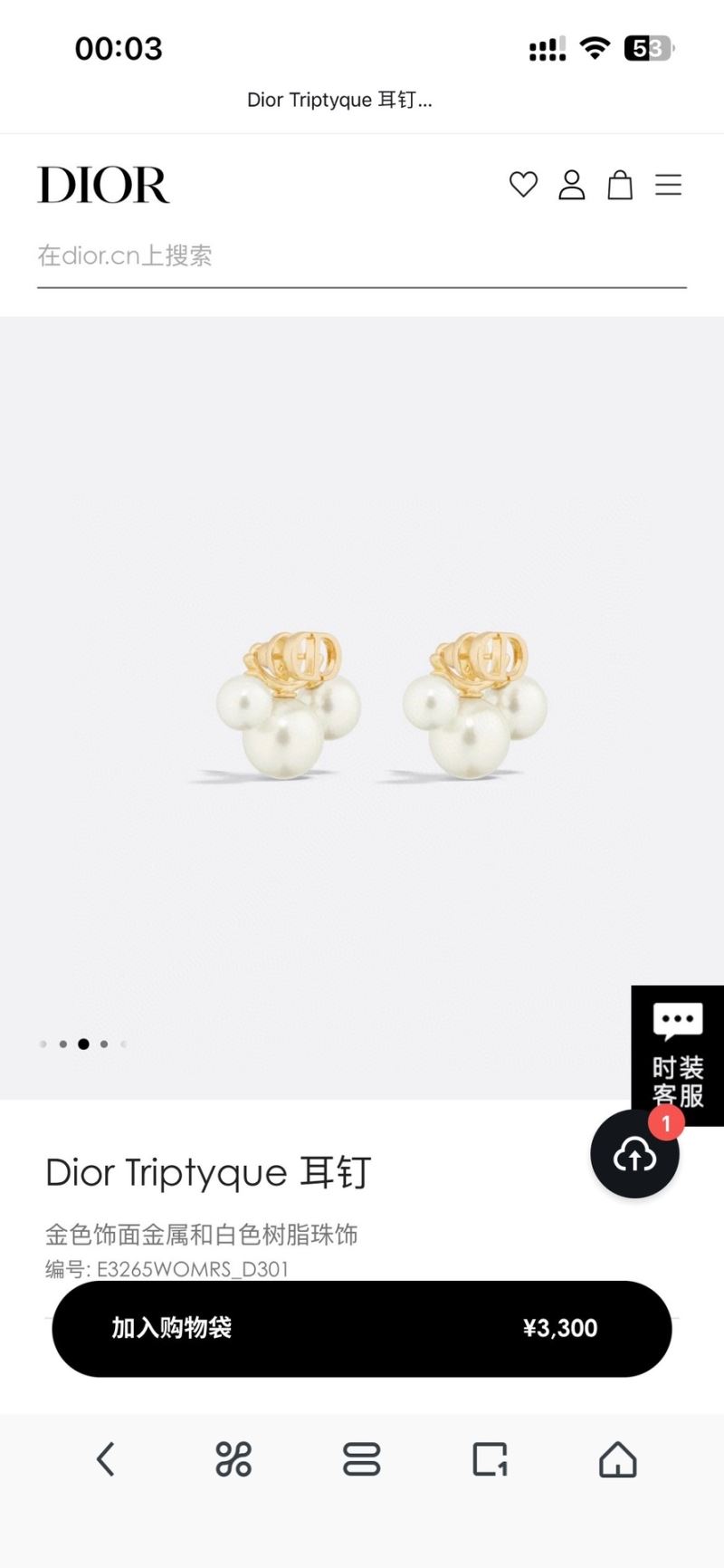 Christian Dior Earrings